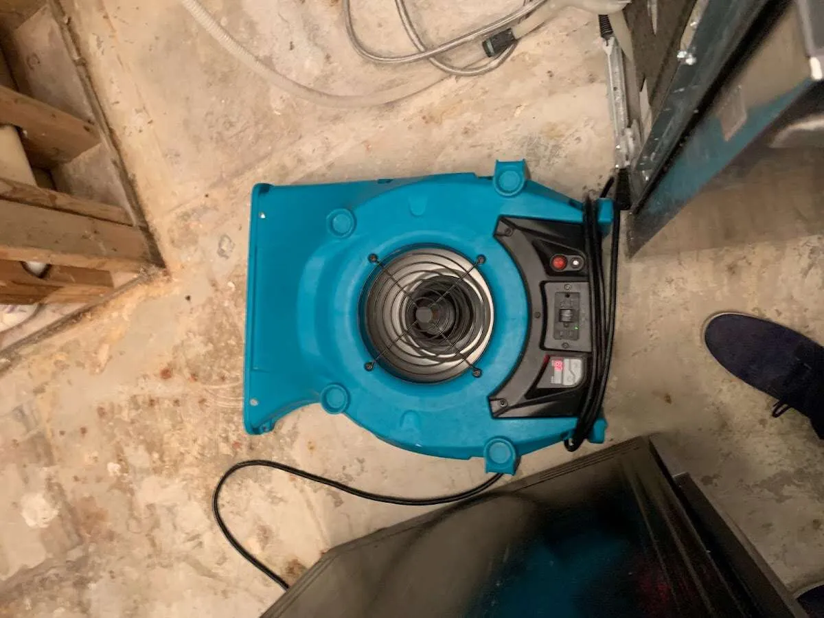 Air mover drying equipment for Mold Remediation & Removal in Brandon
