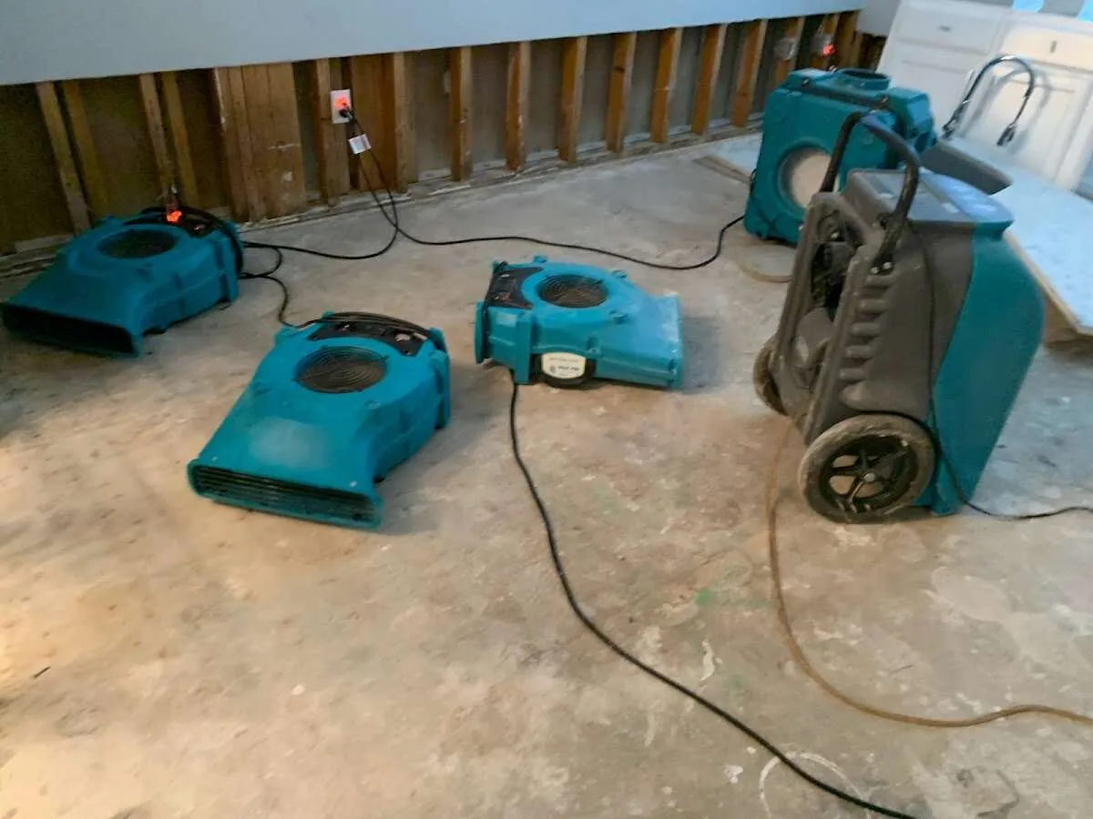 Emergency Water Damage Services in Brandon, FL